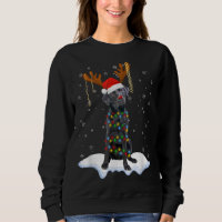 Black Lab Labrador Christmas Tree Light Pajama Dog