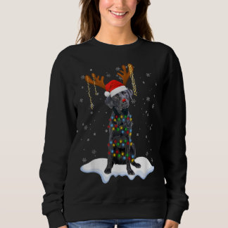 Black Lab Labrador Christmas Tree Light Pajama Dog Sweatshirt