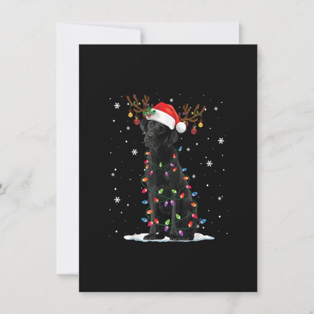 Black Lab Labrador Dog Christmas Lights Xmas Santa Invitation (Front)