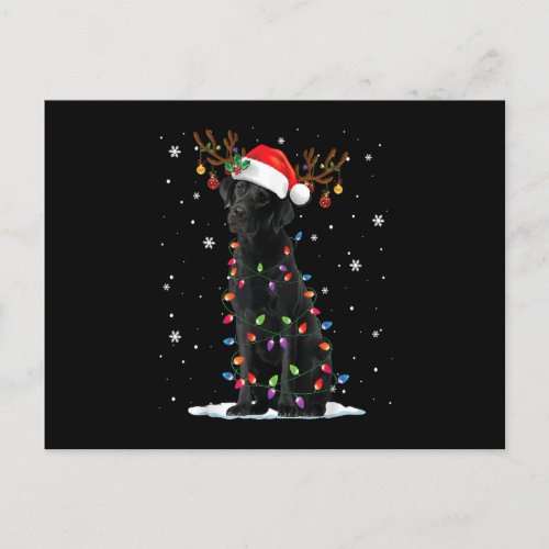 Black Lab Labrador Dog Christmas Lights Xmas Santa Postcard