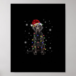 black lab labrador dog christmas lights xmas santa poster