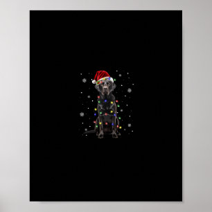 black lab labrador dog christmas lights xmas santa poster