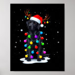 Black Lab Labrador Dog Funny Christmas Lights Rein Poster