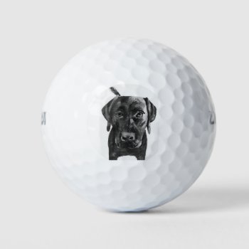 Black Lab Labrador Dog Golf Ball by LaurEvansDesign at Zazzle
