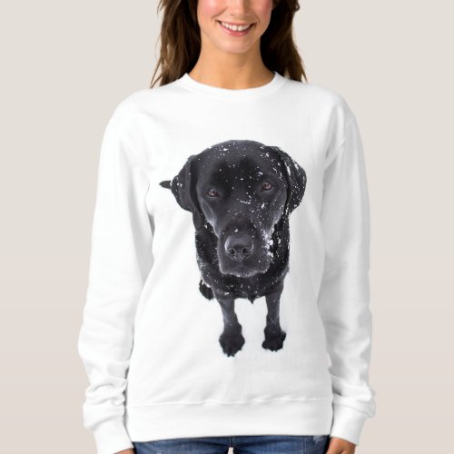 Black Lab _ Labrador Snow Puppy Sweatshirt