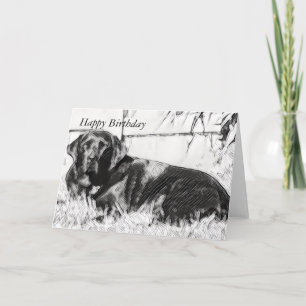 Black Lab Laying in the Sun Birthday Card