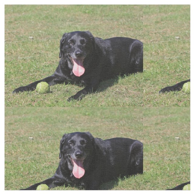 black lab laying.png fabric (Close Up)