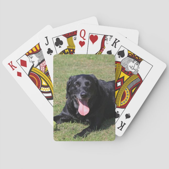 black lab laying.png poker cards (Back)