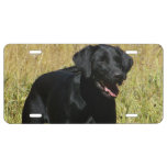 Black Lab License Plate