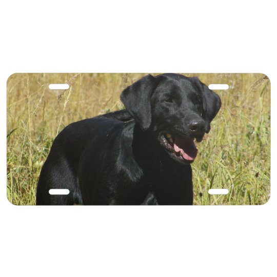 Black Lab License Plate