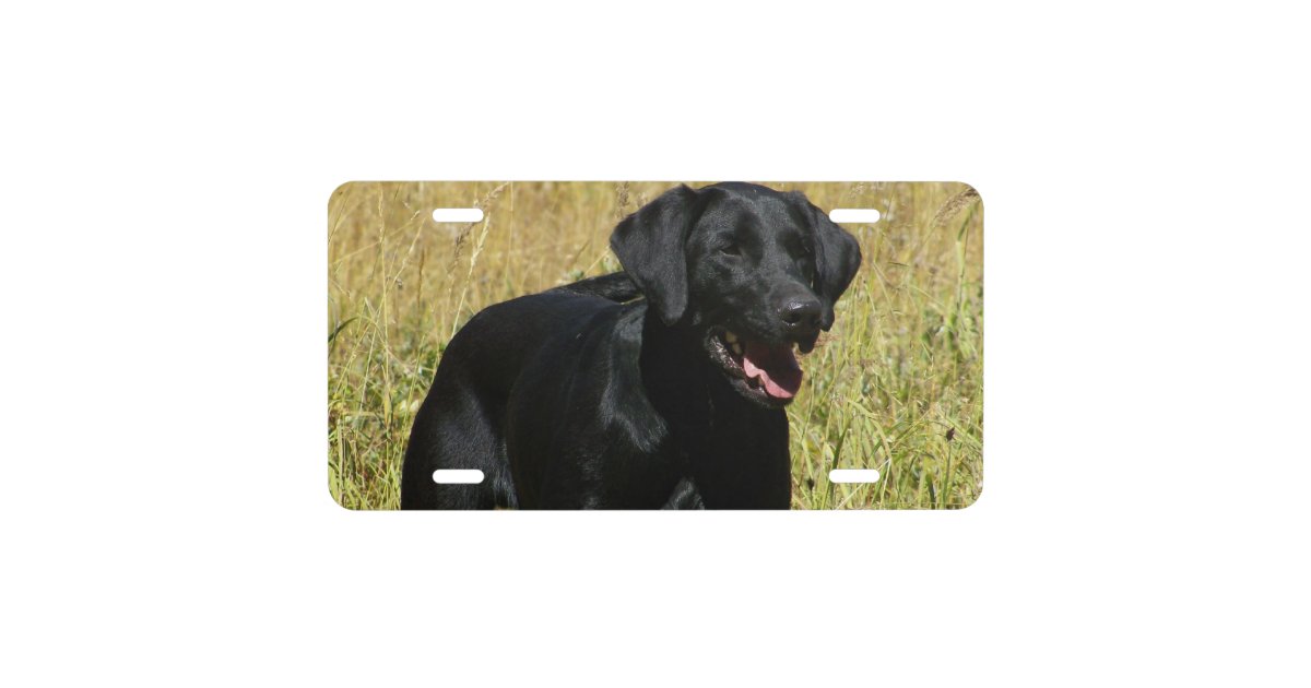 Black Lab License Plate Zazzle
