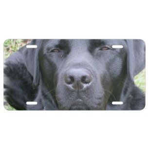 Black Lab License Plate