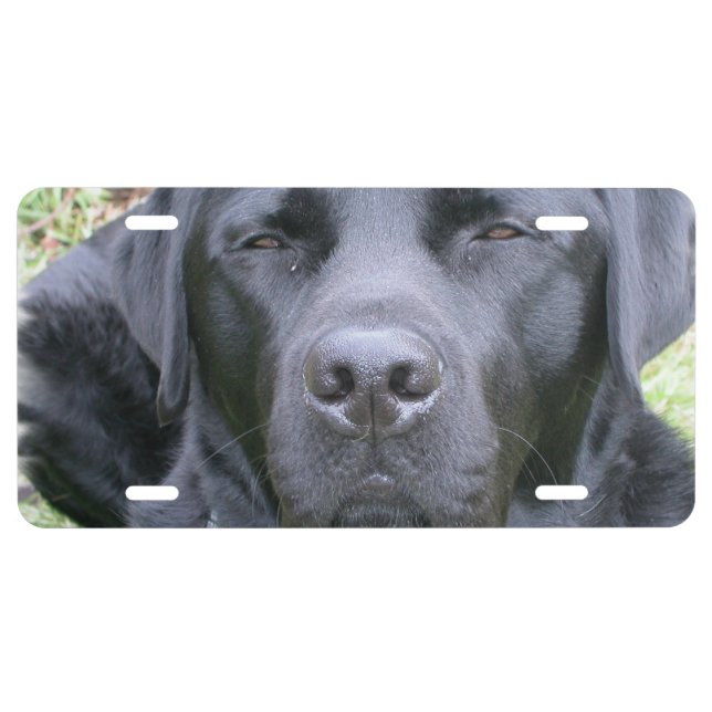 Black Lab License Plate (Front)