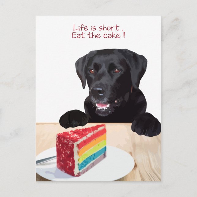 Black Lab- Life is short , eat the Cake - Labrador Postcard (Front)