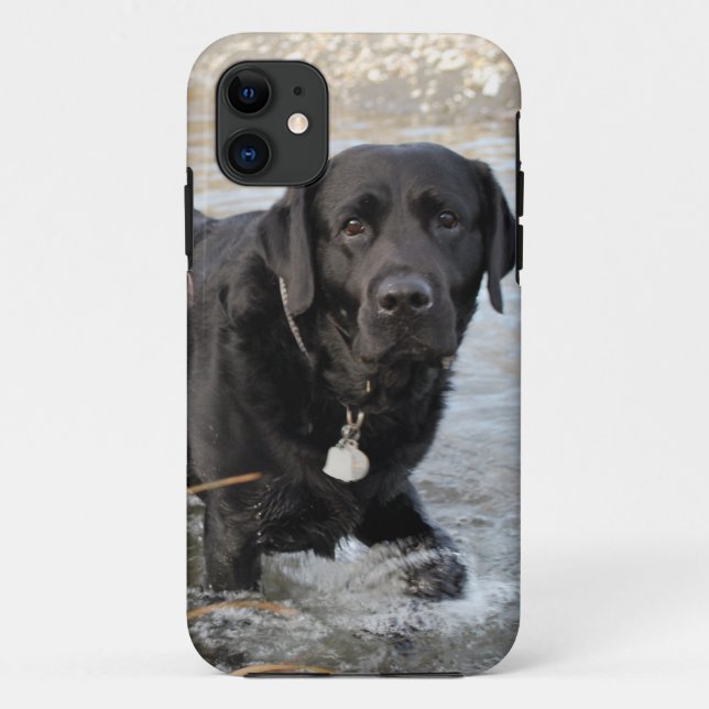 Black Lab Love Case-Mate iPhone Case (Back)