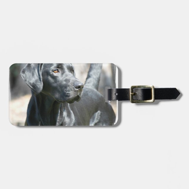 Black Lab  Luggage Tag (Front Horizontal)