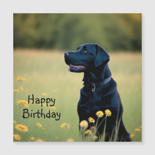 Black Lab Magnetic Card