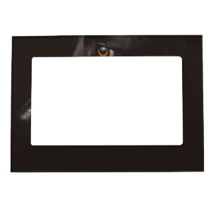 black lab magnetic frame