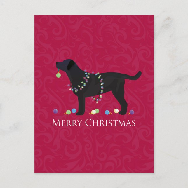 Black Lab Merry Christmas Design Holiday Postcard (Front)