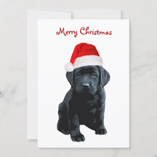 Black Lab Merry Christmas Labrador Puppy Santa Dog Holiday Card