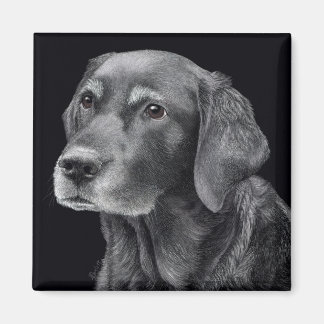 Black Lab Mix, Magnet - "Ember"