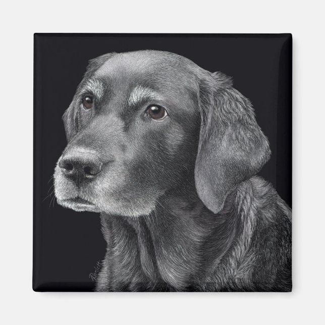 Black Lab Mix, Magnet - "Ember" (Front)