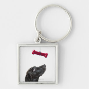 Black lab mixed dog with red dog bone keychain
