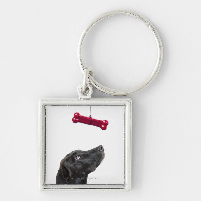 Black lab mixed dog with red dog bone keychain (Front)