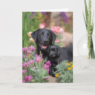 Black Lab Mom Mother’s Day Love Card
