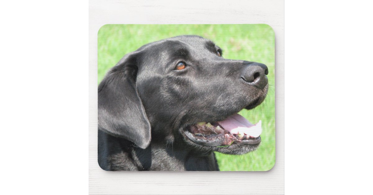 Black Lab Mouse Pad