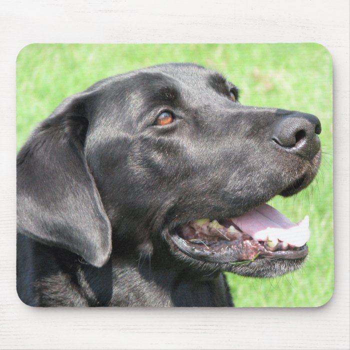 Black Lab Mouse Pad