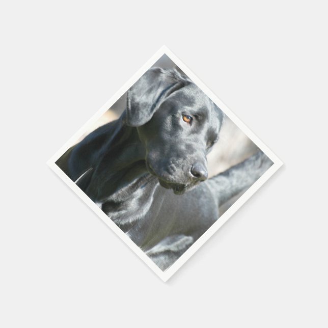 Black Lab Napkins (Corner)