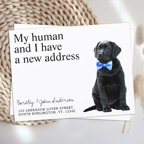 Black Lab New Address Dog Moving Announcement Postcard