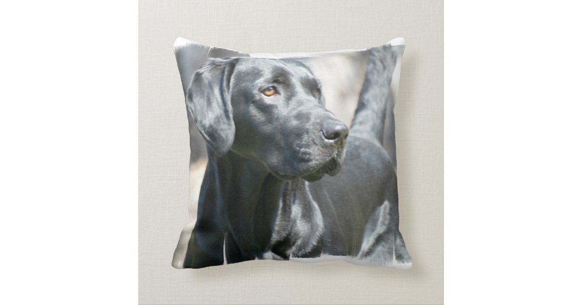 black lab decorative pillow