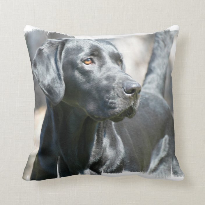 christmas black lab pillow