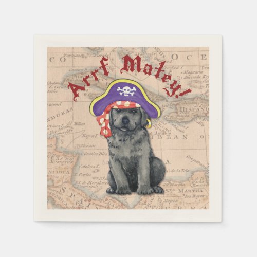 Black Lab Pirate Napkins