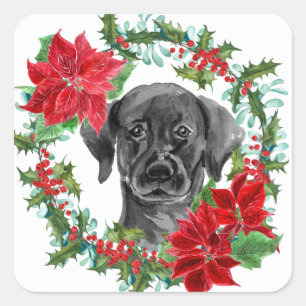 Black Lab Poinsettia Christmas Wreath Square Sticker