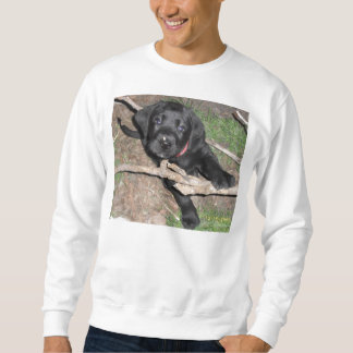 black lab puppy age 6 weeks sweatshirt