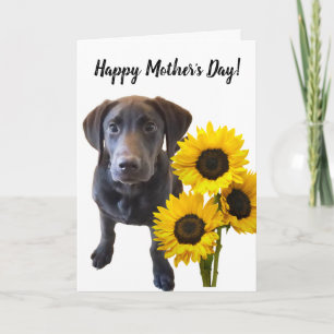 Black Lab Puppy and Sunflowers Pun Card