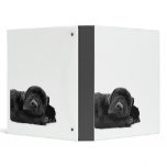 Black Lab Puppy Binder