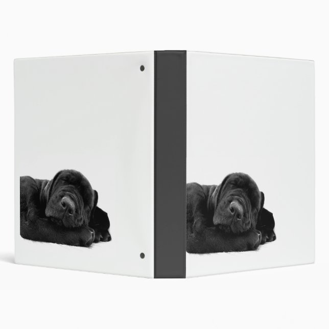 Black Lab Puppy Binder (Background)