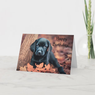Black Lab Puppy Birthday Card