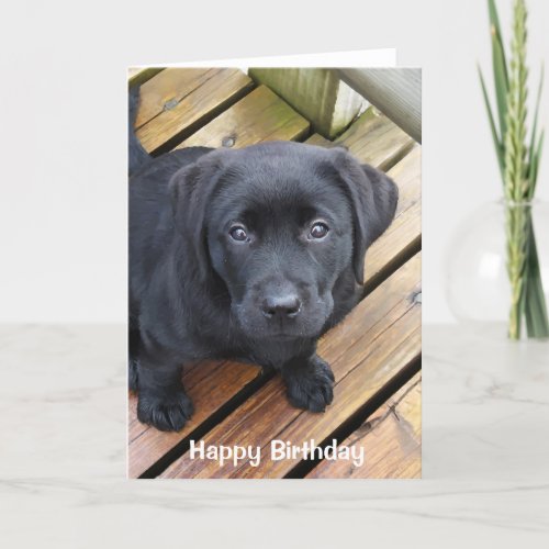 Black Lab Puppy Card