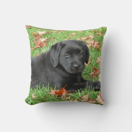 Black Lab Puppy _ Cute Retriever Labrador Puppy Throw Pillow