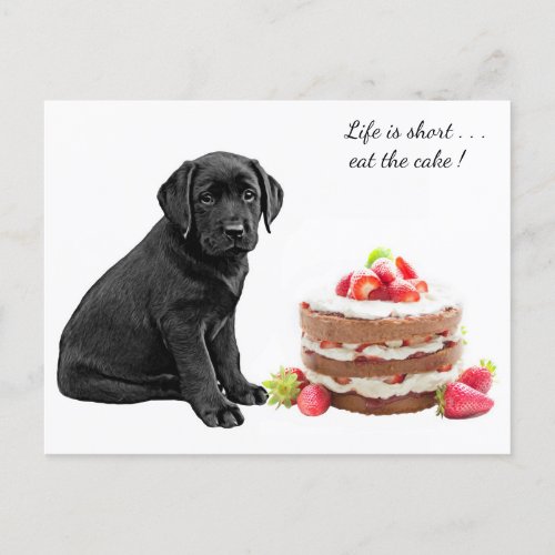 Black Lab Puppy _ Dog Birthday _ Labrador Dog Cake Postcard