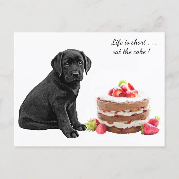 happy birthday dog images black lab