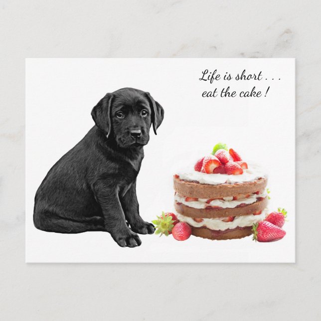 Black Lab Puppy - Dog Birthday - Labrador Dog Cake Postcard (Front)