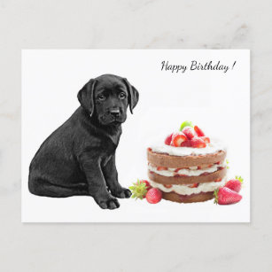 Black Lab Puppy - Dog Happy Birthday - Labrador Postcard
