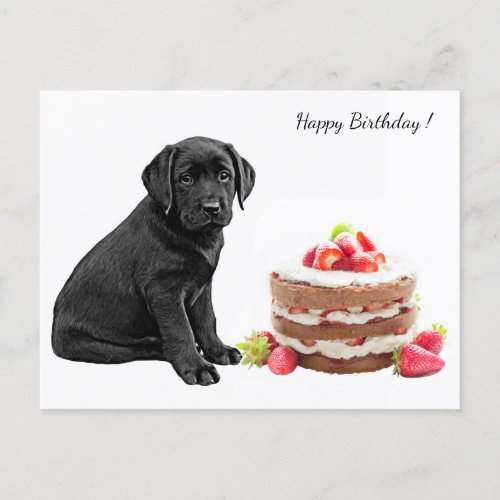 Black Lab Puppy _ Dog Happy Birthday _ Labrador Postcard