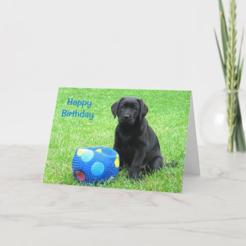 Black Lab Puppy _ Happy Birthday Card